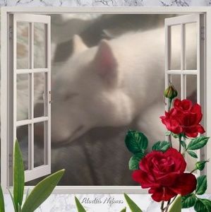 Meet your Posher, Debrah